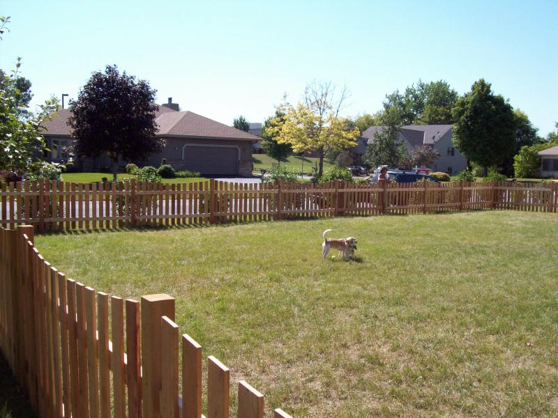 Cedar Scalloped Picket Fence Installation Minnesota