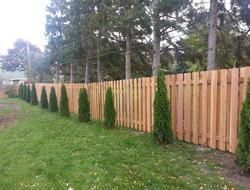 Cedar Alternate Board Privacy Fence Minnesota