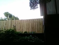 Cedar Batten Board Fence