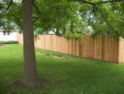 Cedar Batten Board Privacy Fence Minnesota