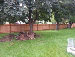 Cedar Batten Board Privacy Fence Minnesota